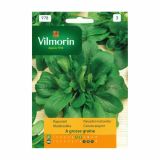LISTNA ZELENJAVA VILMORIN NAVADNI MOTOVILEC A GROSSE GRAINE