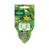 PLODOVKA VILMORIN SEJALNIK KUMARA ALADYN F1