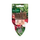 SEMENA VILMORIN SEJALNIK REDKVICA RUDI