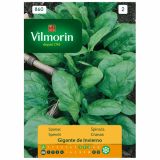 LISTNA ZELENJAVA VILMORIN ŠPINAČA ZIMSKA GIGANTE DE INVIERNO