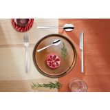 SET JEDILNEGA PRIBORA AMEFA 24 DELNI MANILLE