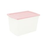 ŠKATLA/ZABOJ PRACTIC MULTIBOX 50 L