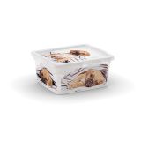 ŠKATLA/ZABOJ KIS 19.5X16.5X9.5 CM C BOX XXS