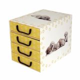 ŠKATLA/ZABOJ MISSSPACE PREDALNIK ZA SHRANJEVANJE S ŠTIRIMI PREDALI