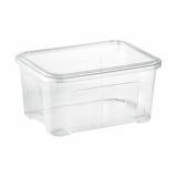 ŠKATLA/ZABOJ TONTARELLI 37.7X27.7X18.8 CM 13 L COMBI BOX