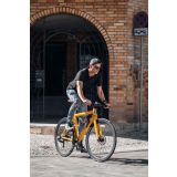 ELEKTRIČNO KOLO EBFREC SKIRON