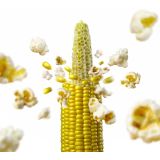 ZELENJAVNA SADIKA L'ORTO FRUTTIFERO SLADKA KORUZA 9/1 POP CORN KULTIPAK