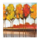 SLIKA BIVA DREVESA 80X80 CM 3 D RAZLIČNA DEKORJA