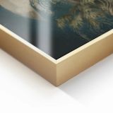 SLIKA STYLER GREEN HERON Z OKVIRJEM 80X120 FA044