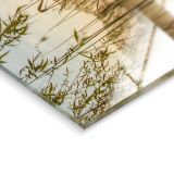 SLIKA STYLER BOAT IN THE GRASS STEKLENA 50X125 EX579