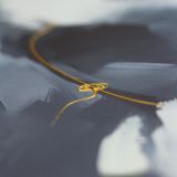 SLIKA STYLER EMMA 70X100 HP012