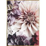 SLIKA STYLER FLOWERS Z OKVIRJEM 50X70 AB053