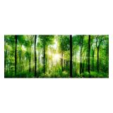 SLIKA STYLER SUNLIGHT STEKLENA 50X125 EX121