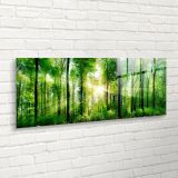 SLIKA STYLER SUNLIGHT STEKLENA 50X125 EX121