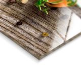 SLIKA STYLER WOODEN SPOONS STEKLENA 30X80 EX429