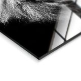 SLIKA STYLER LION SILVER STEKLENA 70X100 GL104