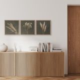 SLIKA STYLER PAMPAS TROJNA Z OKVIRJEM 30X30 FR391