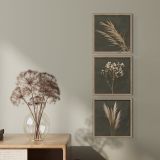 SLIKA STYLER PAMPAS TROJNA Z OKVIRJEM 30X30 FR391