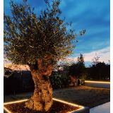 SMART LED TRAK LEDVANCE NEON FLEX 5M SMART + MULTICOLOR