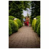 SOLARNA VRTNA SVETILKA PHILIPS 17809/93/16 DUSK 1X1.5W LED ANTRACIT