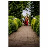 SOLARNA VRTNA SVETILKA PHILIPS GREENHOUSE 1X1W LED 17812/47/16 INOX