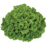 LISTNA ZELENJAVA SOLATA 9 KOS ROZETASTA