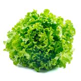 LISTNA ZELENJAVA SOLATA LOLLO VERDE 8/1 KRISKA ZELENA KULTIPAK