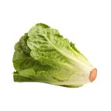 LISTNA ZELENJAVA SOLATA ROMANA 8/1 VERDE KULTIPAK