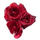 LISTNA ZELENJAVA L'ORTO FRUTTIFERO SOLKANSKI RADIČ 8/1 ISONTINA KULTIPAK