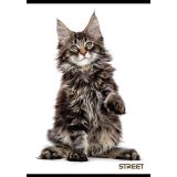 ŠOLSKI ZVEZEK STREET FRIENDS A4 BREZČRTEN, 54 LISTOV, SORT