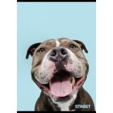 ŠOLSKI ZVEZEK STREET FRIENDS A4 ČRTAN Z ROBOM, 54 LISTOV, SORT