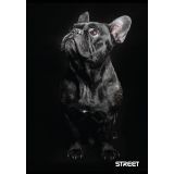 ŠOLSKI ZVEZEK STREET FRIENDS A4 ČRTAN Z ROBOM, 54 LISTOV, SORT