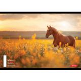 ŠOLSKI ZVEZEK TARGET A4 BREZČRTNI ANIMAL 52L 16530