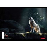 ŠOLSKI ZVEZEK TARGET A4 BREZČRTNI ANIMAL 52L 16530