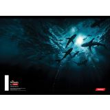 ŠOLSKI ZVEZEK TARGET A4 BREZČRTNI ANIMAL 52L 16530