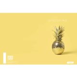 ŠOLSKI ZVEZEK TARGET A4 BREZČRTNI DISCO 28923 52L