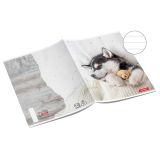 ŠOLSKI ZVEZEK TARGET A4 ČRTAST ANIMAL BABY 26060