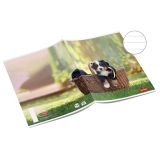 ŠOLSKI ZVEZEK TARGET A4 ČRTAST ANIMAL BABY 26060