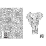 ŠOLSKI ZVEZEK TARGET A4 ČRTE COLOR ME 28196