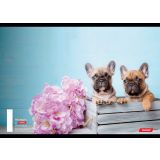 ŠOLSKI ZVEZEK TARGET A5 ČRTE ANIMAL 16526