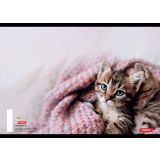 ŠOLSKI ZVEZEK TARGET A5 ČRTE ANIMAL 16526