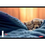 ŠOLSKI ZVEZEK TARGET A5 ČRTE ANIMAL 16526