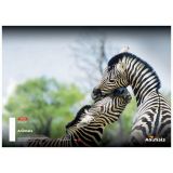 ŠOLSKI ZVEZEK TARGET A5 ČRTE ANIMAL 16526