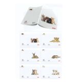 ŠOLSKI ZVEZEK TARGET A5 LATAIN ANIMAL BABY 17869