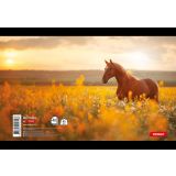 ŠOLSKI ZVEZEK TARGET BELEŽKA A6 ANIMAL 01615