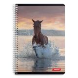 ŠOLSKI ZVEZEK TARGET SPIRALNI A4 ČRTE ANIMAL 1610