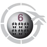 ŠOTOR EASY CAMP PALMDALE 600