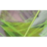 ŠOTOR OUTWELL CLOUD 5