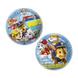 ŠPORTNI REKVIZIT EUROM-DENIS-TOYS ŽOGA PAW PATROL 23 CM