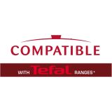 POKROVKA TEFAL 24 CM STEKLENA